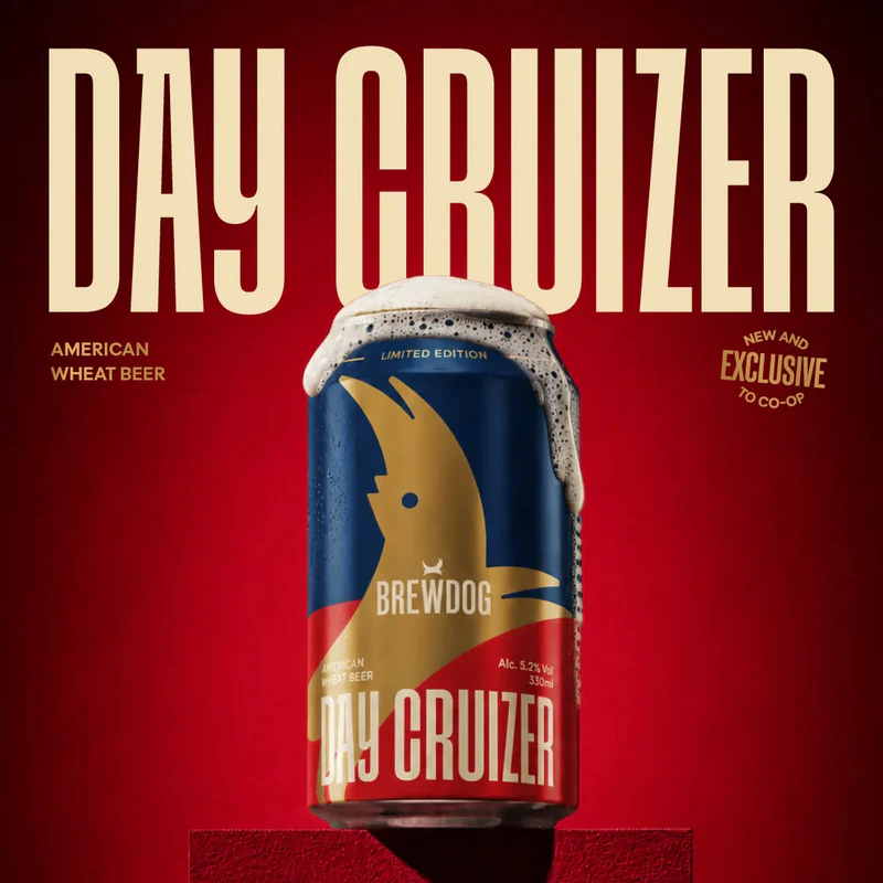 Day Cruizer - Image 3